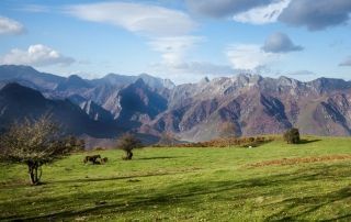 imagen-ruta-del-cuyargallos