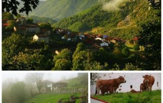 bueres-parque-natural-de-redes