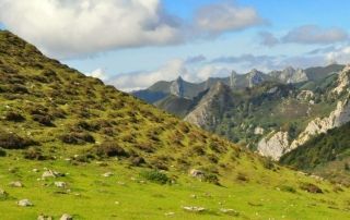 imagen-ruta-pendones-a-orle