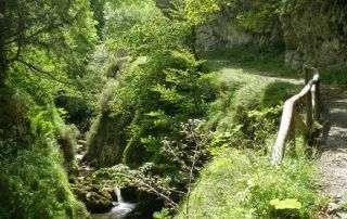 imagen-ruta-del-alba-parque-natural-de-redes