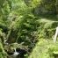 imagen-ruta-del-alba-parque-natural-de-redes