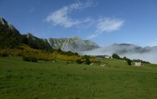 Brañagallones