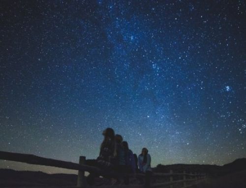 Noches de Estrellas en Redes