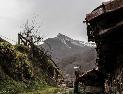 Ruta Valle del Riu Mediu (PR.AS 126)