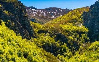 Imagen Cascada Tabayón del Mongallu