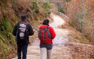paseo-ruta-pendones