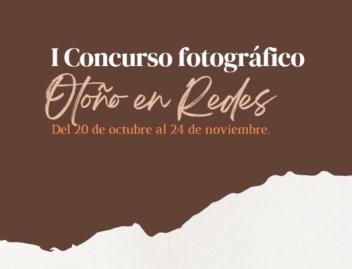I Concurso de fotografía Otoño en Redes