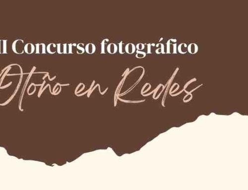 II Concurso de fotografía Otoño en Redes