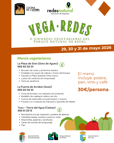 Menus vegearianos